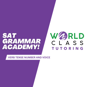 Verb Number Tense and Voice